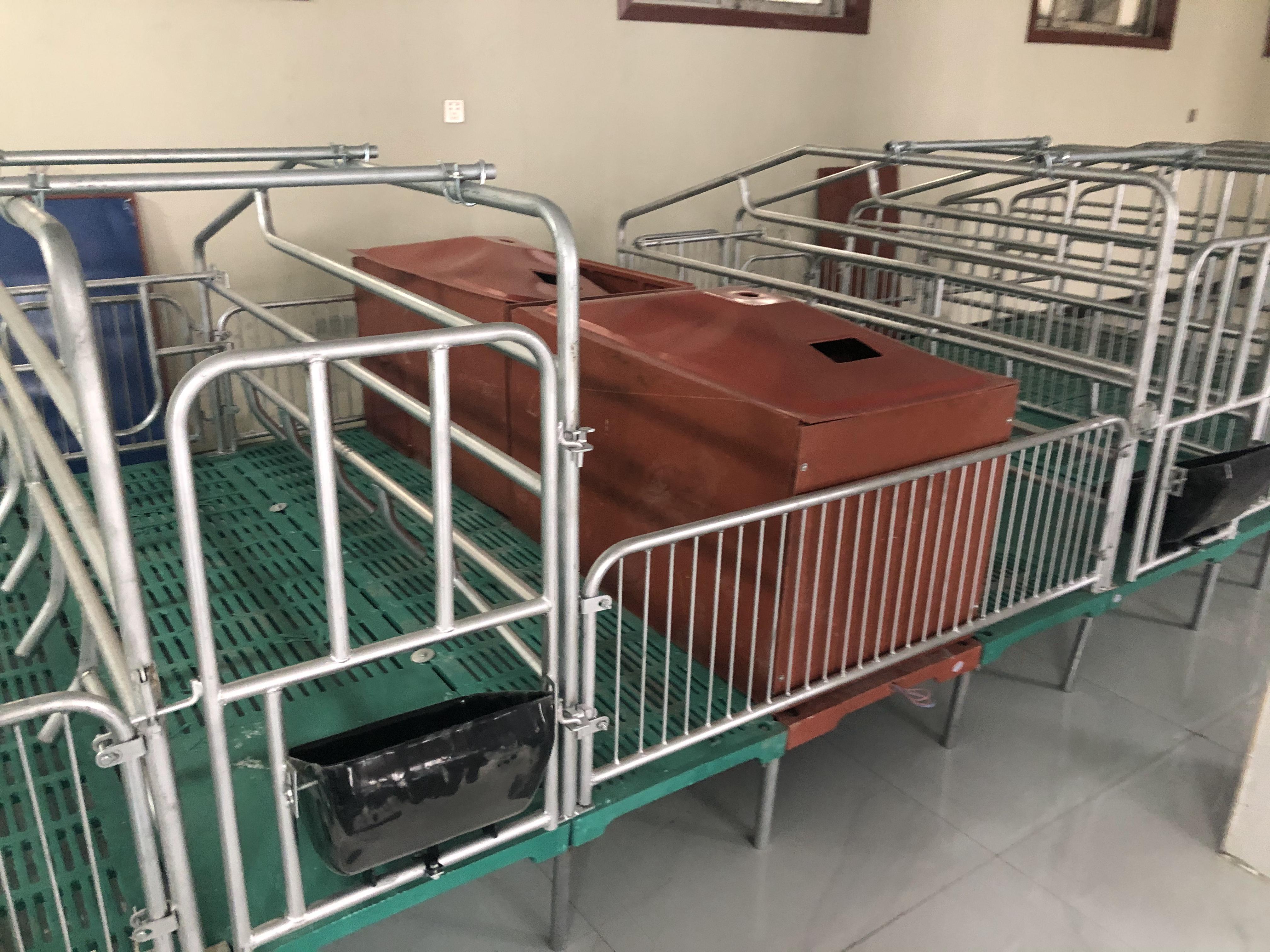 双体母猪产床 全新母猪分娩床好处